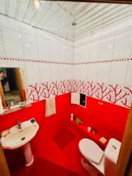 ��������� �������� ������, ������������� �-�, ��������, ��, 21 ���� 19