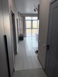 ��������� �������� ������, ������������� �-�, �������, 20 ���� 2