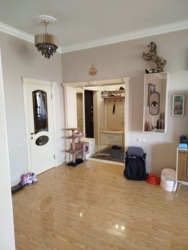 3-��������� �������� � 122.3 �² � 3/10 ����, �������� 309 � �������� �������� ���� 6