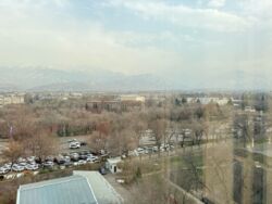 ��������� �������� ������, ������������� �-�, ��������, ��., 310 ���� 2