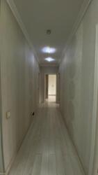 ��������� �������� ������, ������������� �-�, ��������� �����, ��. (��. ����� ���������, ��.), 7/8 ���� 19