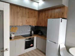 ��������� �������� ������, ������������� �-�, ������ ��������, 133/1 ���� 8