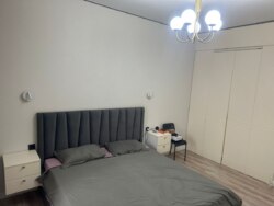 ��������� �������� ������, ���������� �-�, ������ ������, 11 ���� 8