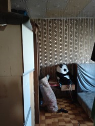 ��������� �������� ������, ������������� �-�, ���������, ��., 34� ���� 7