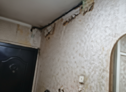 ��������� �������� ������, ���������� �-�, ���.�����-2, 24 ���� 6