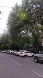 ��������� �������� ������, ����������� �-�, ������������� � ��. ������, 31 ���� 1