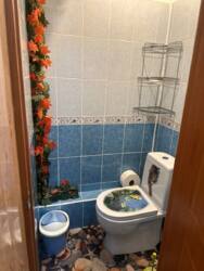 ��������� �������� ������, ��������� �-�, ���. ������ (���), ����������, 18 ���� 10