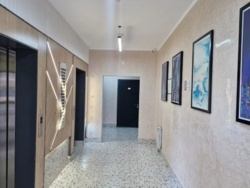 ��������� �������� ������, ������������� �-� ���� 1