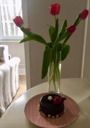 2-��������� �������� � 62 �² � 2/5 ����, �������� ������ � ���� ��.������� ���� 3