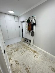 ��������� �������� ������, ����������� �-�, ���������, 3 ���� 7