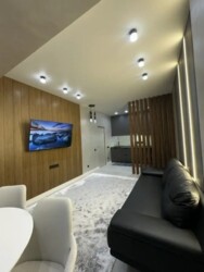 ��������� �������� ������, ������������� �-�, ����������, 167/1 ���� 1