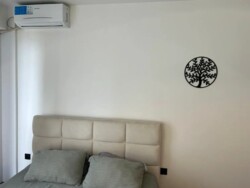 ��������� �������� ������, ������������� �-�, ����� ����, 6/37 ���� 2