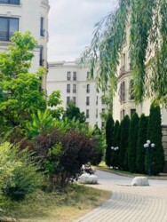 ��������� �������� ������, ������������� �-�, ���.�����, ��� �����, 157, ���� 3 ���� 15