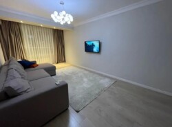 1-��������� �������� � 50 �² � 10/12 ����, ��������� 7/21 ���� 6