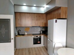 ��������� �������� ������, ������������� �-�, ������ ��������, 133/1 ���� 9