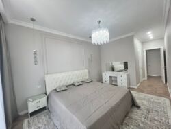 3-��������� �������� 115��.� ���� 8