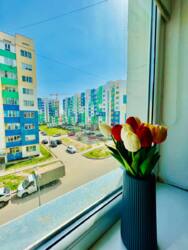 ��������� �������� ������, ������������� �-�, ��� ������, 341/1 ���� 5