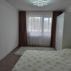 ������� ������ ���� 17