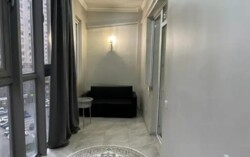 ��������� �������� ������, ������������� �-�, �����������, 247 ���� 1