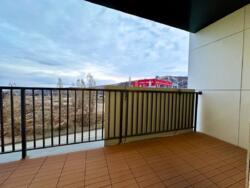 ��������� �������� ������, ������������� �-�, ���.��� ������, ��������, 40 ���� 4