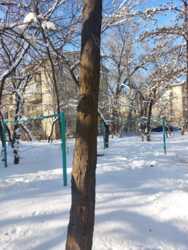 ������� 2 -� ��������� �������� ���� 14