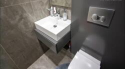 ��������� �������� ������, ����������� �-�, ����������, 14 ���� 5