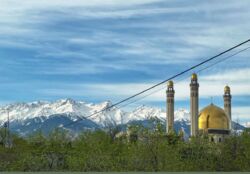 ��������� �������� ������, ������������� �-�, ����������� � ���������� �����������, 177� ���� 17