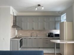 ��������� �������� ������, ������������� �-�, ��������, ��., 133/2 ���� 9