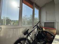 ������ ������� ����� ������������� �������� ����� TV ������ �������� ����������� ��������� ��� �������� �������, ������������ ���� 19