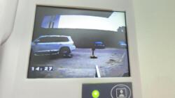 ��������� �������� ������, ��������� �-�, ��������, 1/1 ���� 1