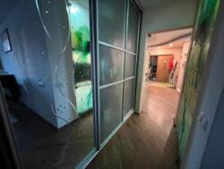 ��������� �������� ������, ������������� �-�, ���������, 225 ���� 13