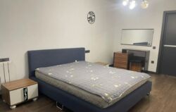 ��������� �������� ������, ������������� �-�, ����������, 43 ���� 13