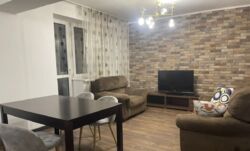 ��������� �������� ������, ������������� �-�, ����������, 43 ���� 17