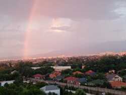 ��������� �������� ������, ������������� �-�, ���. ������, �����, 28 ���� 26