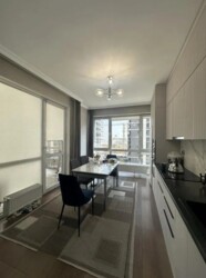 ��������� �������� ������, ������������� �-�, ��������, 233 ���� 4