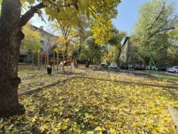 ��������� �������� ������, ����������� �-�, ���� �� 144 ���� 15