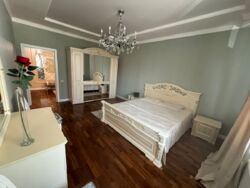 ��������� �������� ������, ������������� �-�, ����������, 223 ���� 1