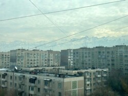 ��������� �������� ������, ����������� �-�, ���. ������-3, ����������, 42 ���� 3