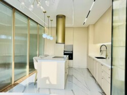 ��������� �������� ������, ������������� �-�, �����������, 245 ���� 7