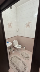 ��������� �������� ������, ����������� �-�, �������������, 163 ���� 8