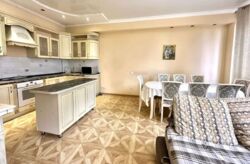 ��������� �������� ������, ������������� �-�, ������, 24 ���� 3