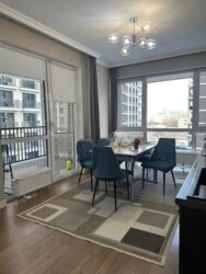 ��������� �������� ������, ������������� �-�, ��������, 233 ���� 11