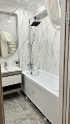 ��������� �������� ������, ��������� �-�, ����������, 196/1 ���� 5