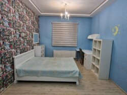 ��������� �������� ������, ����������� �-�, �������������, 163 ���� 4