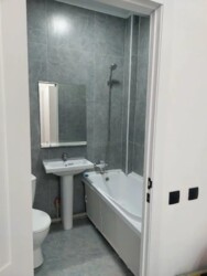 ��������� �������� ������, ������������� �-�, ������ �����, 261 ���� 2