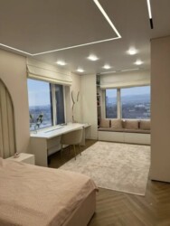 ��������� �������� ������, ������������� �-�, �����������, 245 ���� 5