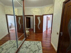 ��������� �������� ������, ����������� �-�, ��������, 154 ���� 16