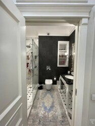 ��������� �������� ������, ������������� �-�, �����������, 247 ���� 12