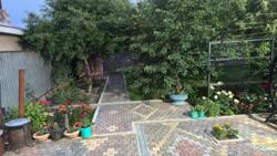 ��������� �������� ����������� ���., �������� (��������), �� ������ �� ��������� ���� 19