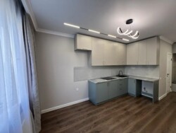 1-��������� �������� � 43.5 �² � 5/9 ����, ��� ������ 25 � ������������� ���� 11